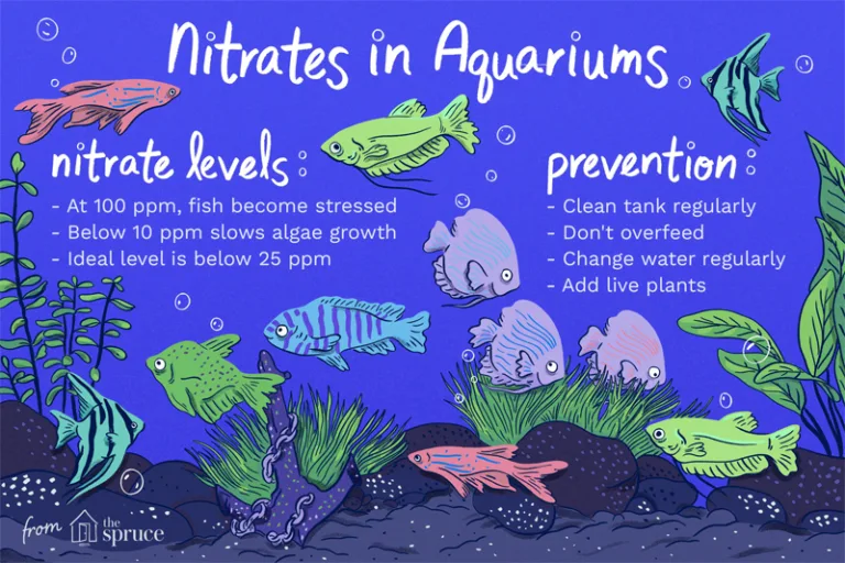 how to reduce nitrates in aquarium