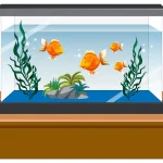 Gh And Kh In Fish Tank