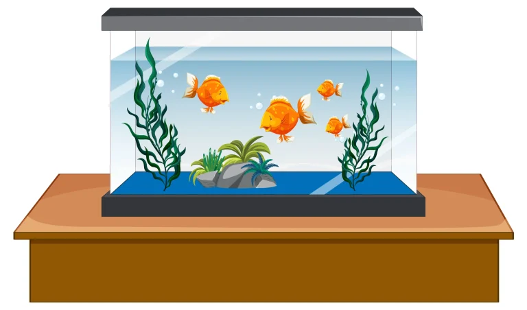 Gh And Kh In Fish Tank