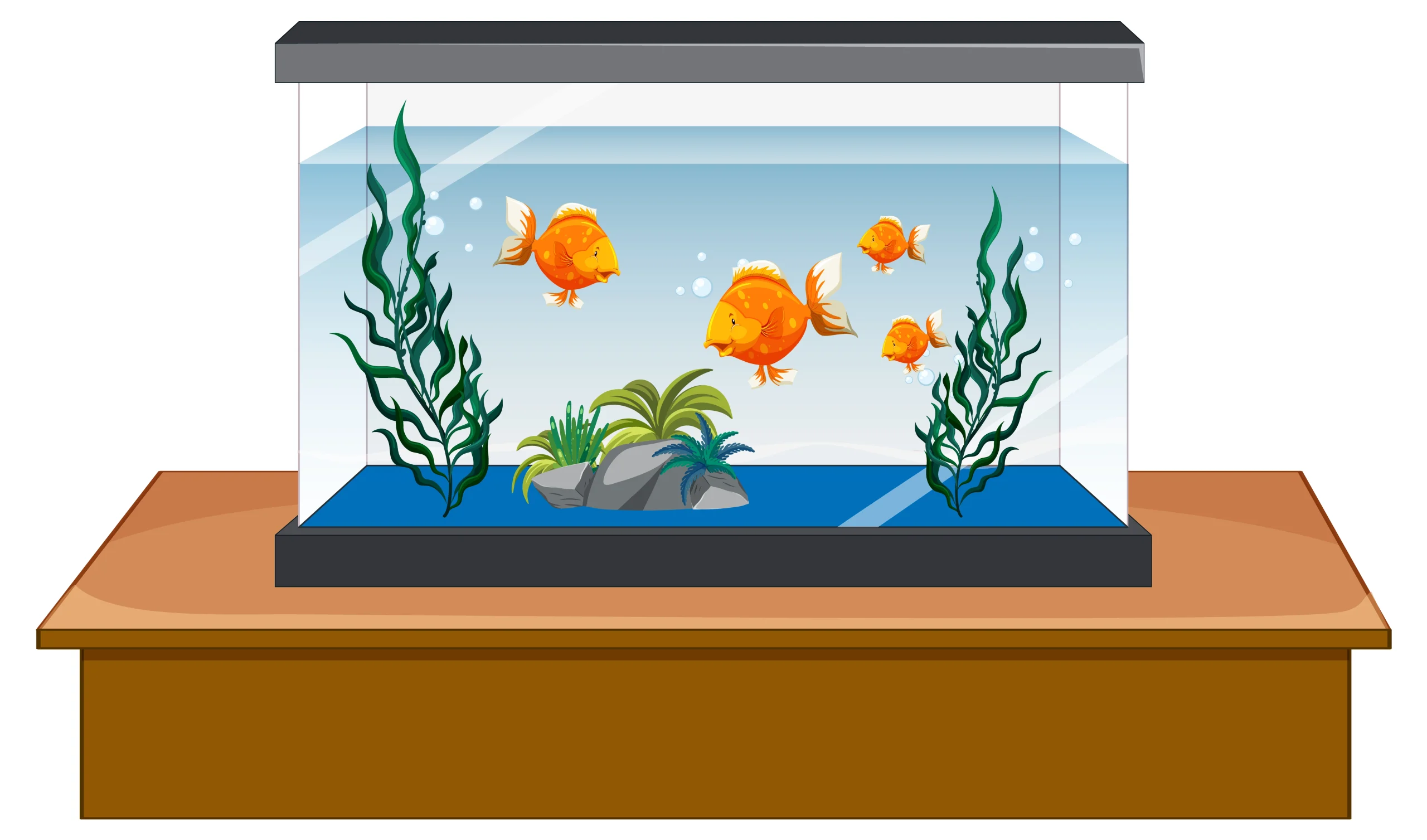 Gh And Kh In Fish Tank